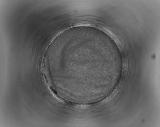 X0000097661377200803211909