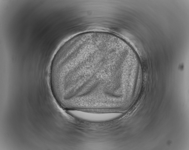 X0000097661379200803211909