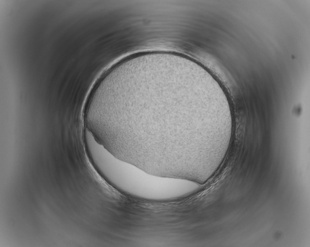 X0000097661380200803211909