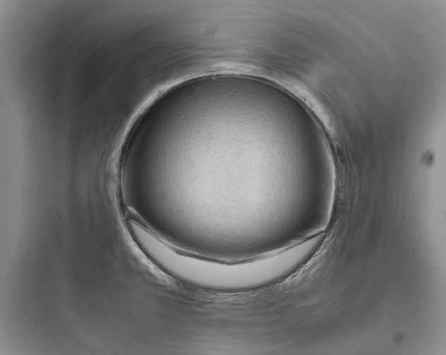 X0000097661381200803211909