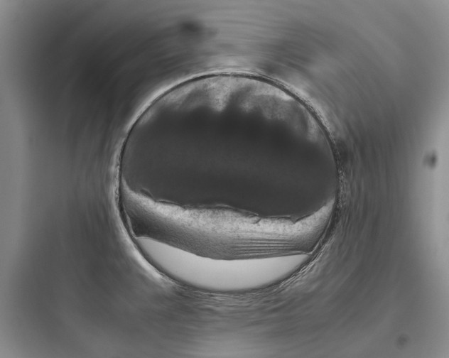 X0000097661383200803211909