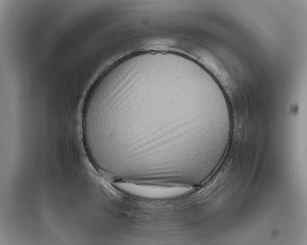 X0000097661384200803211909