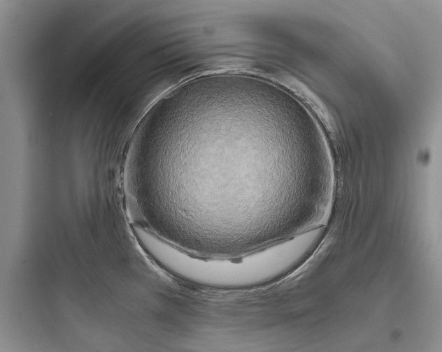 X0000097661385200803211909