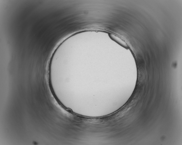 X0000097661387200803211909