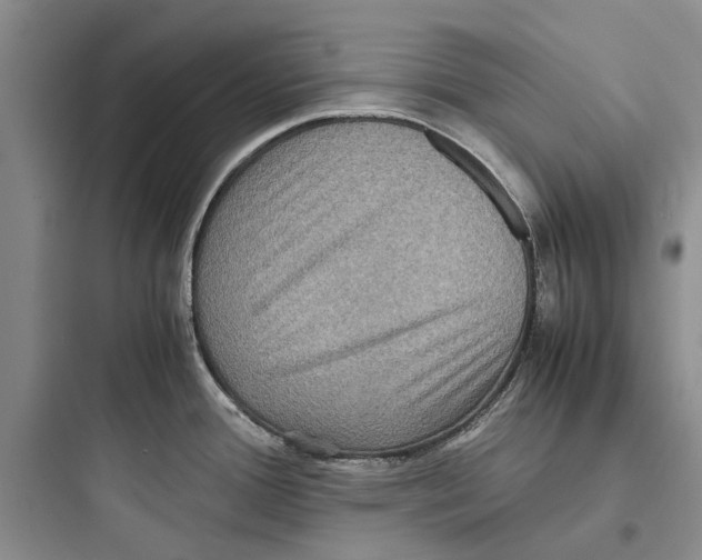 X0000097661388200803211909