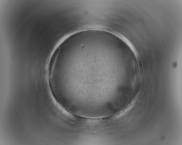 X0000097661389200803211909