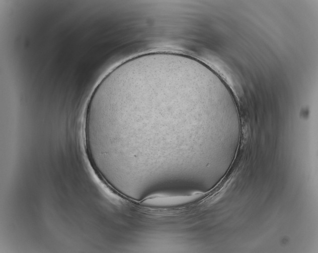 X0000097661391200803211909