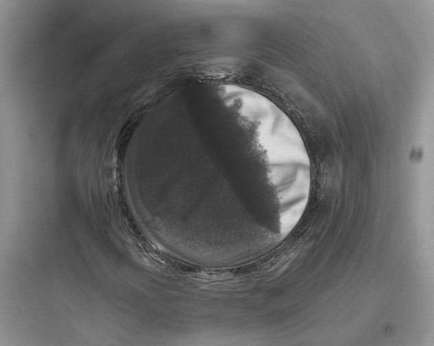 X0000097661394200803211908