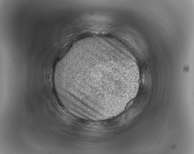 X0000097661396200803211908