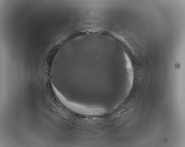 X0000097661399200803211909
