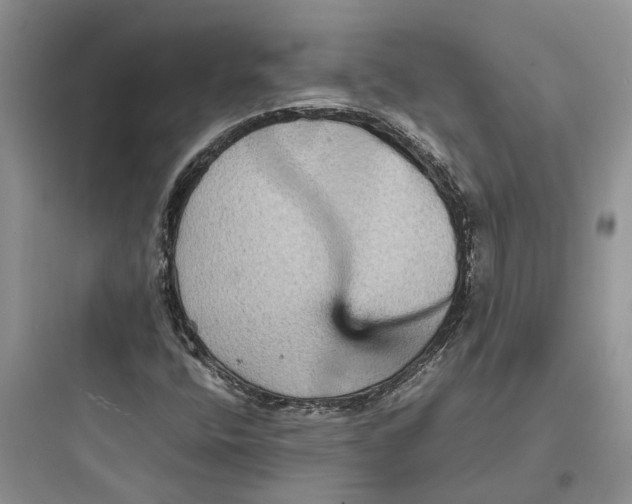 X0000097661400200803211909