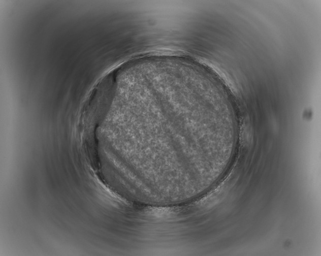 X0000097661402200803211909