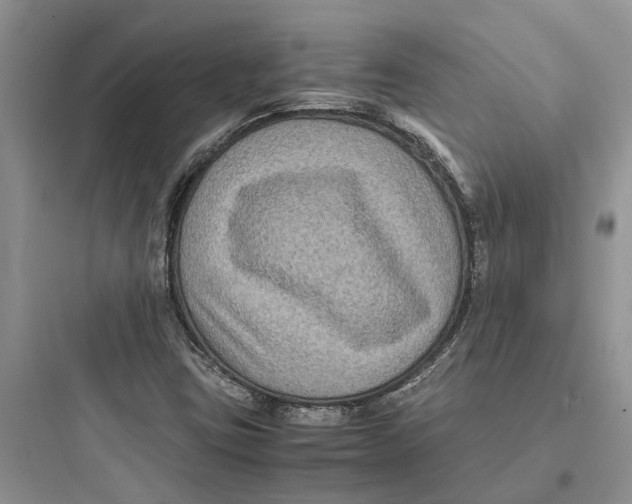 X0000097661403200803211909