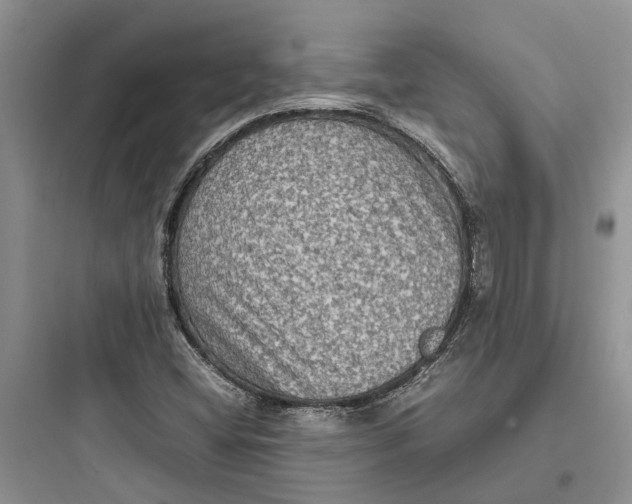 X0000097661404200803211909