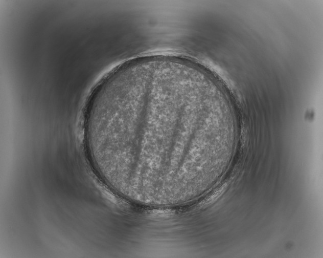 X0000097661406200803211909