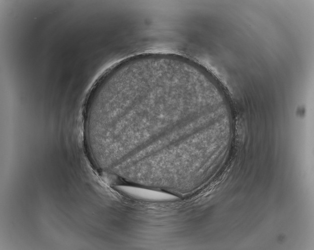 X0000097661408200803211909