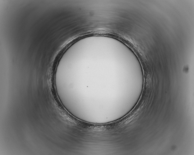 X0000097661410200803211909