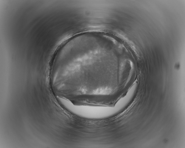 X0000097661411200803211909