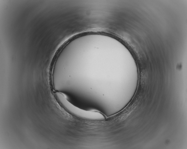 X0000097661412200803211909