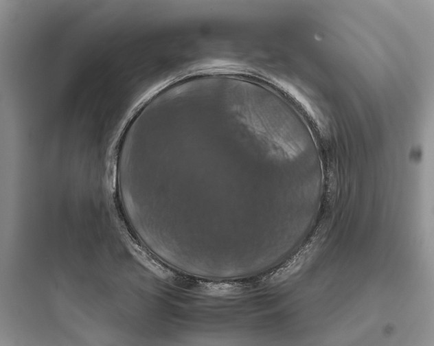 X0000097661413200803211909