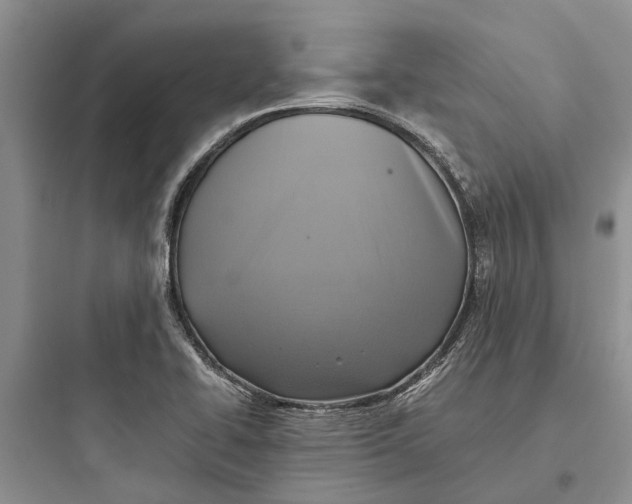 X0000097661414200803211909