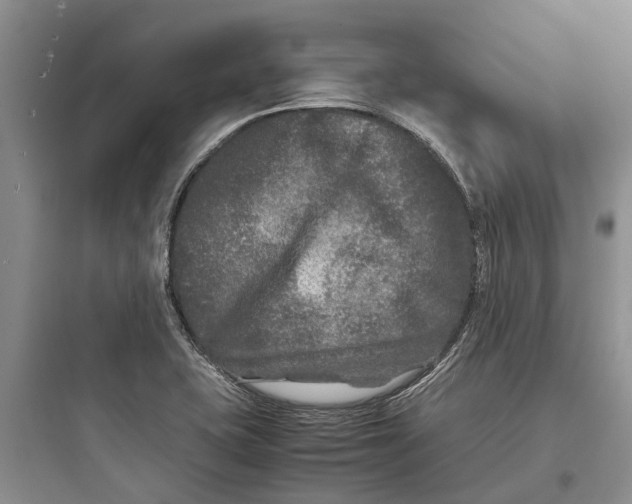 X0000097661415200803211909
