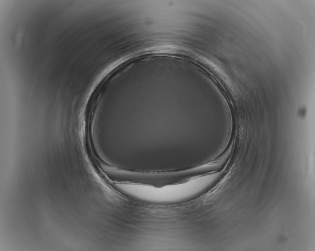 X0000097661418200803211909