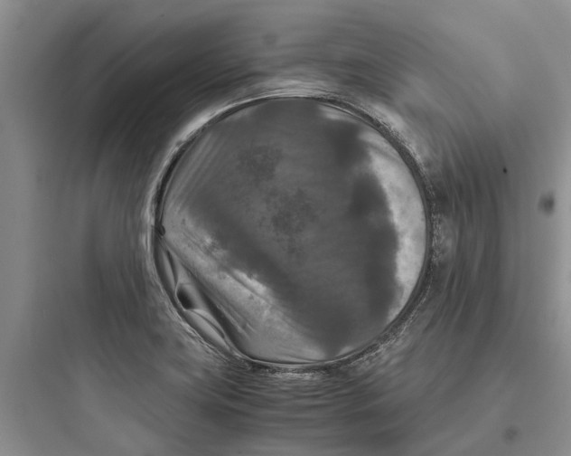 X0000097661419200803211909