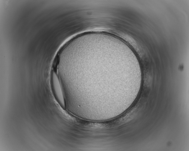 X0000097661420200803211909