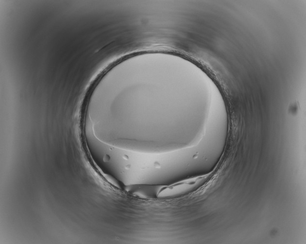X0000097661422200803211909