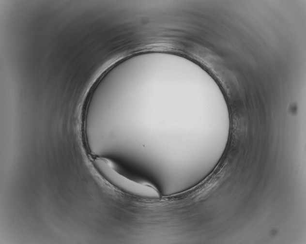 X0000097661426200803211909