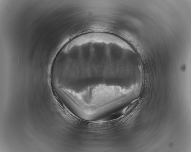 X0000097661427200803211909