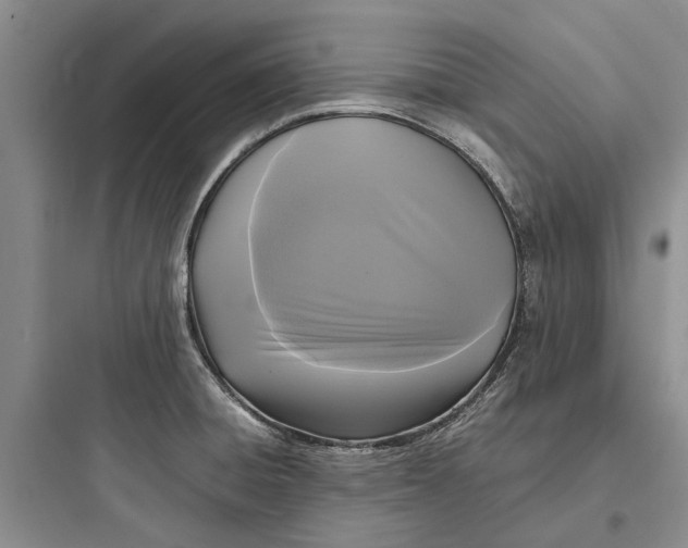 X0000097661428200803211909
