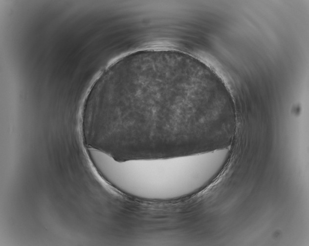 X0000097661429200803211909