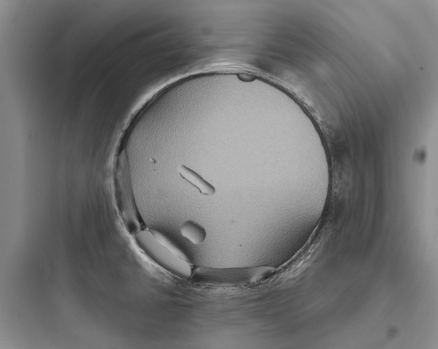 X0000097661430200803211909