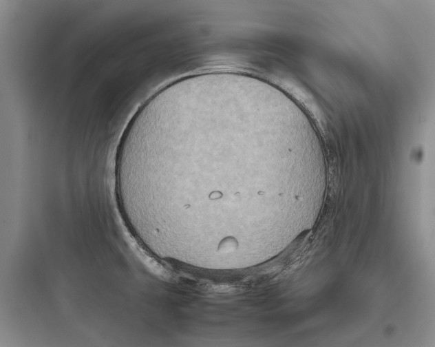 X0000097661431200803211909