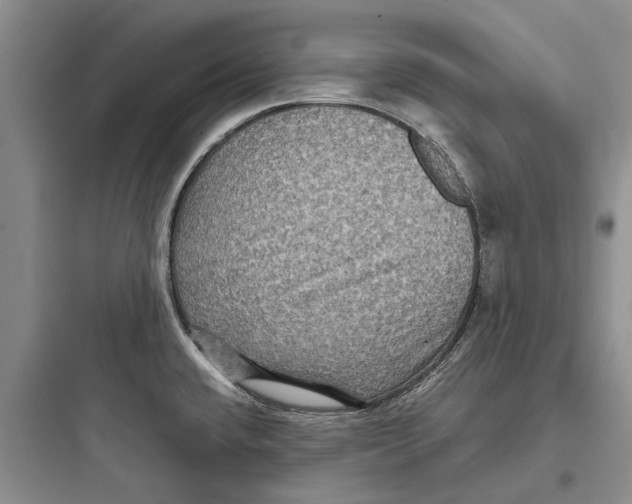 X0000097661432200803211909