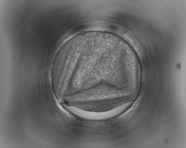 X0000097661433200803211909