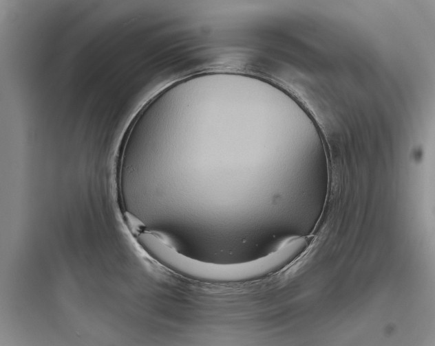 X0000097661434200803211909