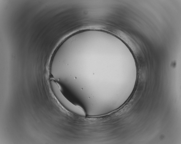 X0000097661436200803211909