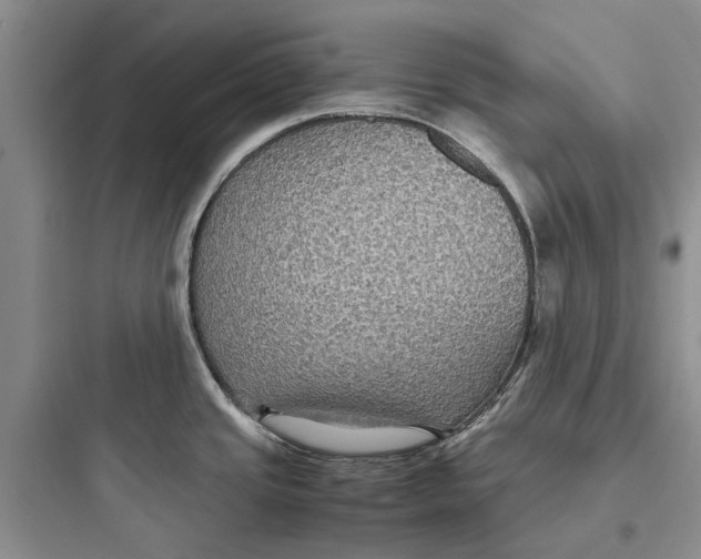 X0000097661437200803211909