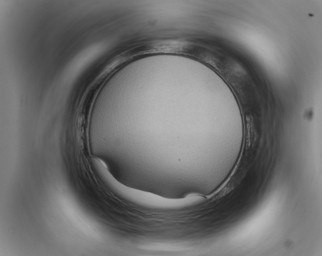 X0000097661438200803211909