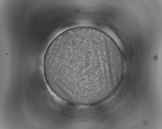 X0000097661439200803211909