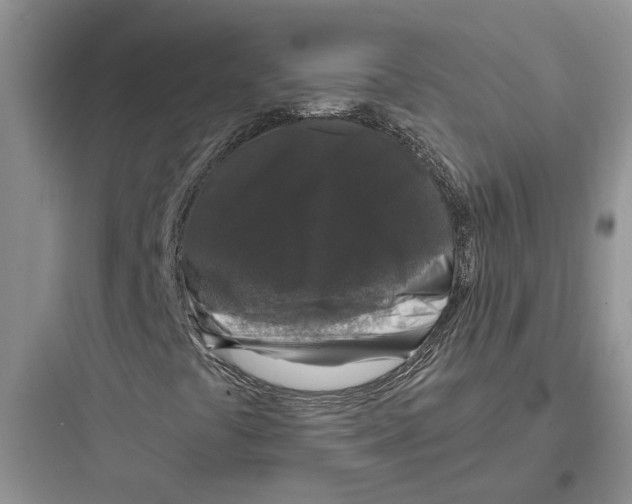 X0000097661441200803211908