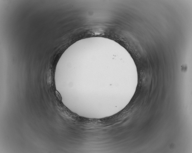 X0000097661442200803211908