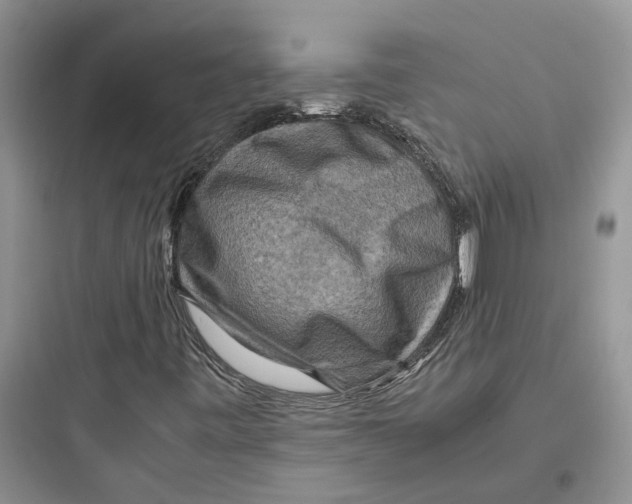 X0000097661443200803211908