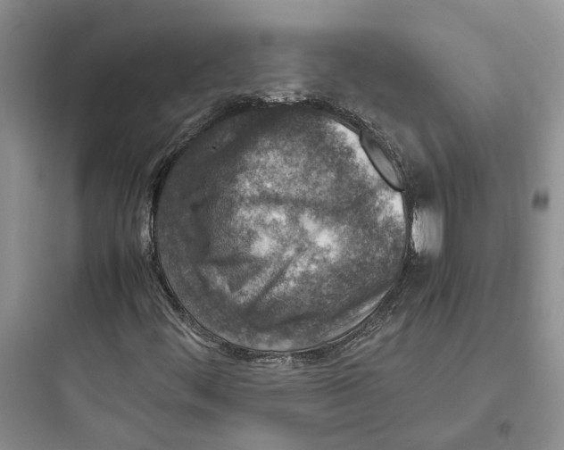 X0000097661444200803211908