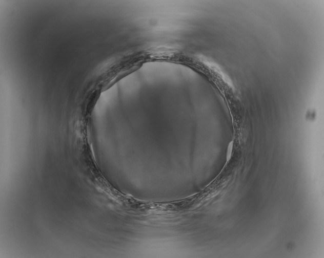 X0000097661445200803211908