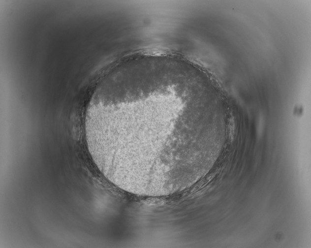 X0000097661446200803211908