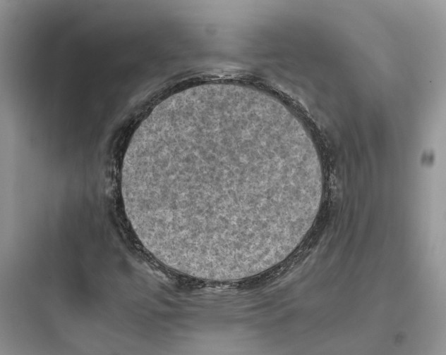 X0000097661447200803211908
